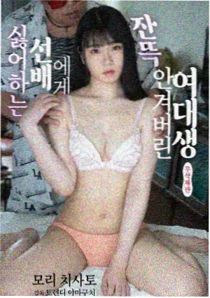 沉默的真相 九妹影视电视剧
